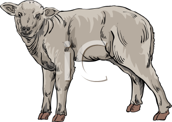 Farm Animal Clipart