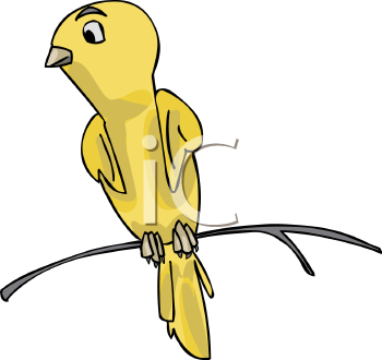 Bird Clipart