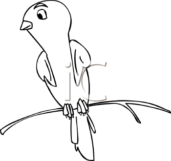 Bird Clipart