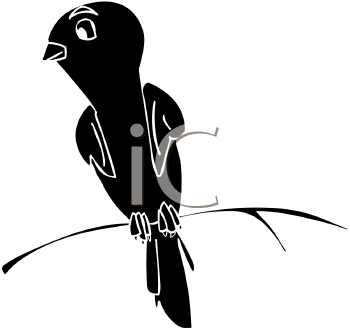 Bird Clipart