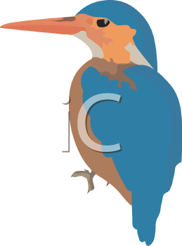 Bird Clipart