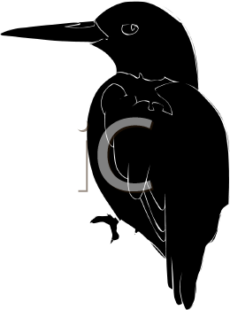 Bird Clipart