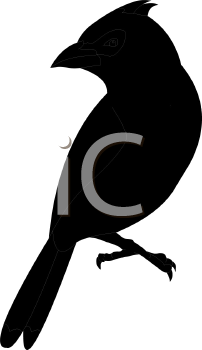 Bird Clipart