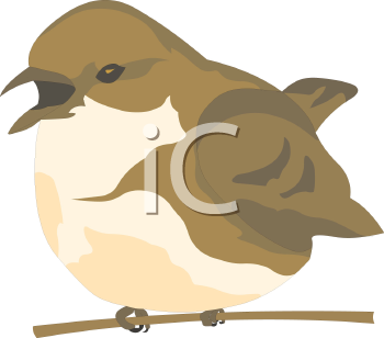 Bird Clipart