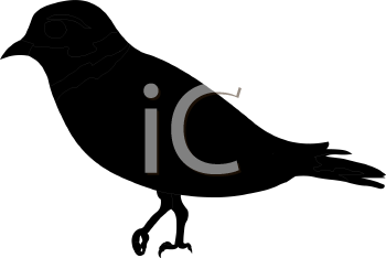 Bird Clipart