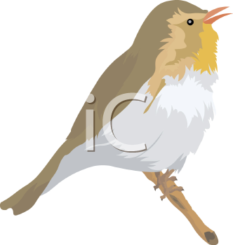 Bird Clipart