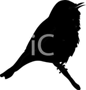 Bird Clipart