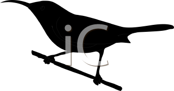 Bird Clipart