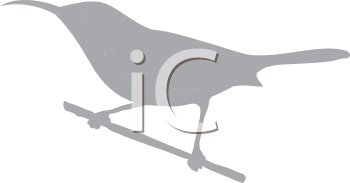 Bird Clipart