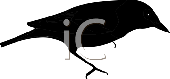 Bird Clipart