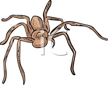 Arachnid Clipart