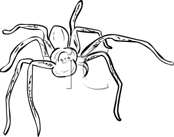 Arachnid Clipart