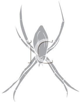 Arachnid Clipart