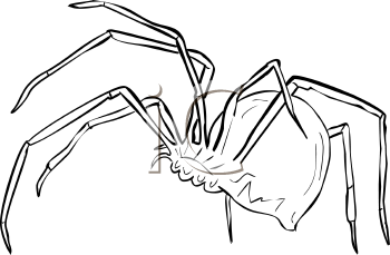 Arachnid Clipart