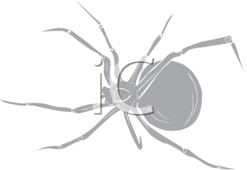 Arachnid Clipart