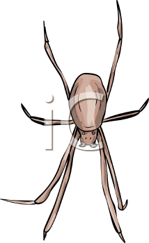 Arachnid Clipart