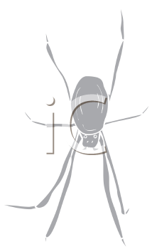 Arachnid Clipart