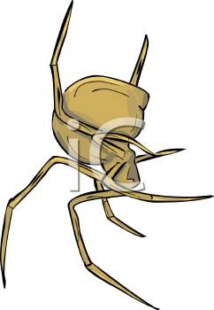 Arachnid Clipart