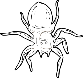 Arachnid Clipart