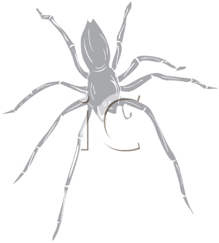 Arachnid Clipart