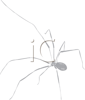 Arachnid Clipart