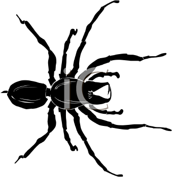 Arachnid Clipart