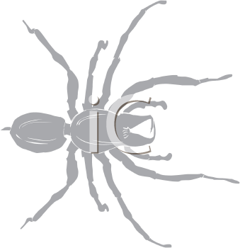 Arachnid Clipart