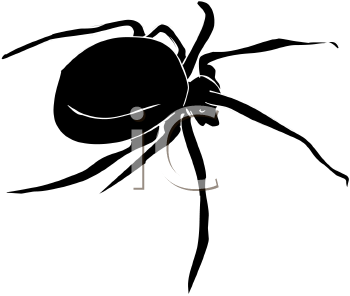 Arachnid Clipart