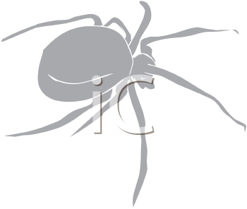 Arachnid Clipart