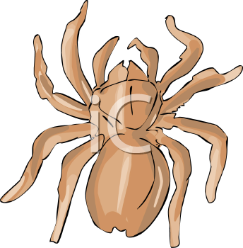 Arachnid Clipart