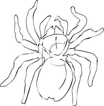 Arachnid Clipart