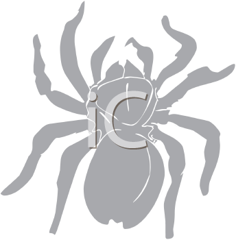 Arachnid Clipart