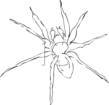 Arachnid Clipart