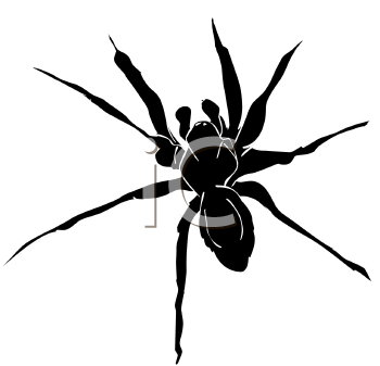 Arachnid Clipart