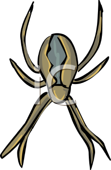 Arachnid Clipart