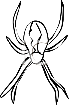 Arachnid Clipart