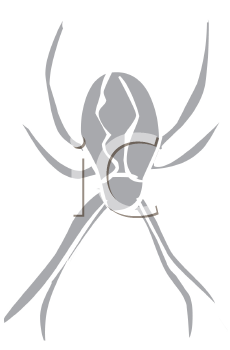 Arachnid Clipart