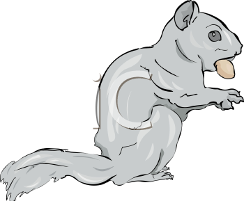 Rodent Clipart