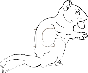 Rodent Clipart