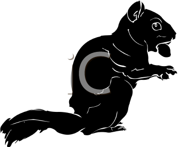 Rodent Clipart