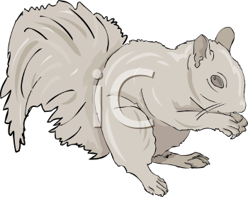 Rodent Clipart