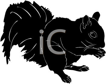 Rodent Clipart