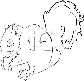 Rodent Clipart