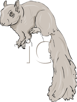 Rodent Clipart