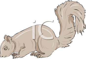 Rodent Clipart