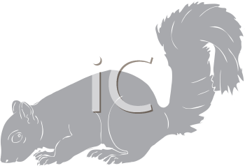 Rodent Clipart