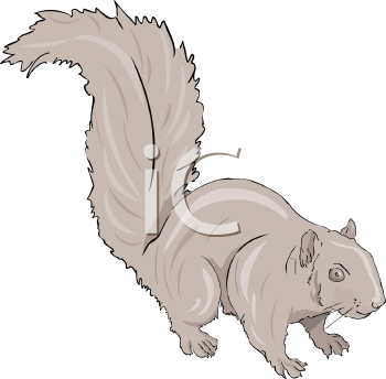 Rodent Clipart