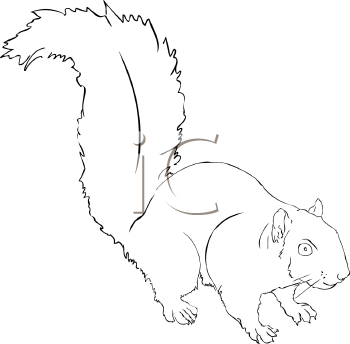 Rodent Clipart