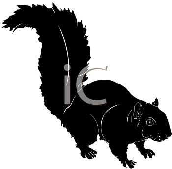 Rodent Clipart