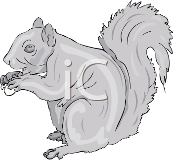 Rodent Clipart